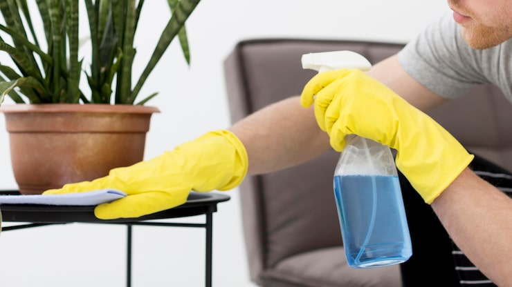 house cleaning services